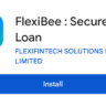 FlexiBee Loan App