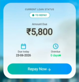 FlexiBee Loan Repyment 